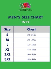 Men’s 6-Pack White V-Neck T-SHIRTS ” TAGLESS-COTTON~DUAL DEFENSE & Stays Tucked”