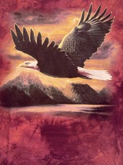 The Mountain Red Tie-Dye Eagle Graphic Cotton Jersey Crew Neck Tee XXXL