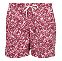 Barbour Crescent Swim Short in Raspberry – Size: XL
