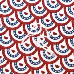 ⭐ The Rhoback The Bunting USA Polo – USA Patriotic Golf Style – Size M-2XL ⭐