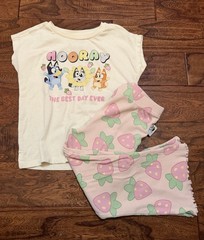 Bluey Girls 4T 2-Piece Set Short Sleeve Top Pink Pants