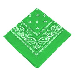 2 X Paisley Print Bandana 100% Cotton Head Warp Scarf Face Mask – USA Seller