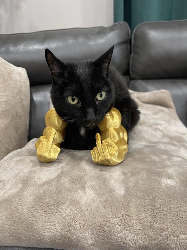 HULK Hands For Cats small Dogs-funny comical Arms Also doubles as Picture stand