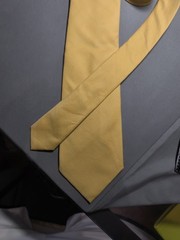 A. Di Capua Napoli – Mustard Yellow Solid Cotton Tailored Tie