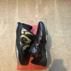 Nike Zoom Kobe 5 Protro Year of the Mamba Eggplant/Black/Gold IB4481-500