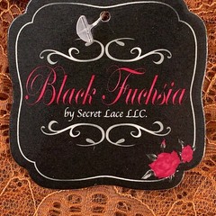Black Fuchsia Secret Lace Women’s 34D Rust Strapless Bra & Medium Boyshort NWT