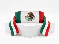 Multipurpose MEXICO Head Gear Bandana Size 25cmX50cm 100% Polyester World Cup!