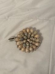 Small Seashell Coin Purse Zipper Closure Coin Pouch For Unisex