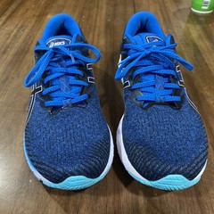 Men’s ASICS GT-2000 Blue Men’s 13