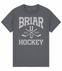 Briar University Hockey Unisex T Shirt Vintage Campus Hockey Tee