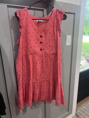 LOFT Women’s Size 6 Pink Eyelet V-Neck Button Front A-Line Knee Dress
