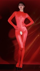 High Glossy Oil Shiny Full Bodystocking Nylon Bodysuit Tights Bodyhose Women Men