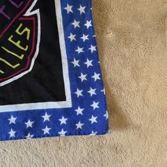 American Eagle Bandanna Eagle Fly