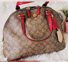 Coach Signature Dome payton Top Handle Bag Brown/Red, Zip Closure, Strap, Gold