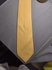 A. Di Capua Napoli – Mustard Yellow Solid Cotton Tailored Tie