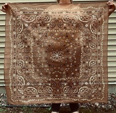 Voile Bandana Scarf Collection – 5 Colors, Extra Large 42X42 inch – BAB brand