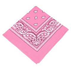 2 X Paisley Print Bandana 100% Cotton Head Warp Scarf Face Mask – USA Seller