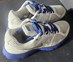 Nike Relentless 2 Men’s Running 511914-102
