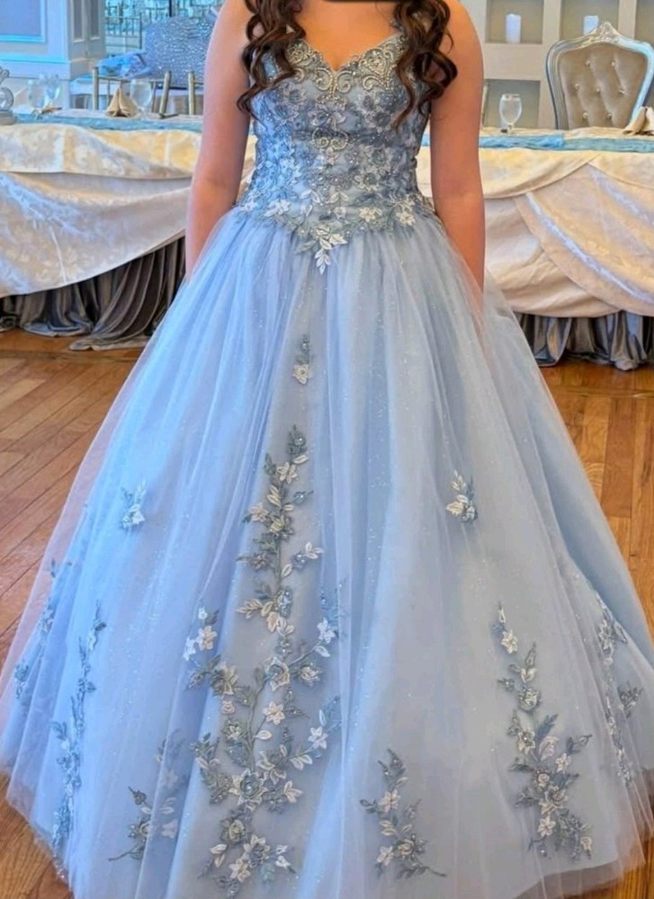 Ice Blue Embroidered Tulle Sweet 16 / Quinceañera Floral Princess BallGown SZ 10