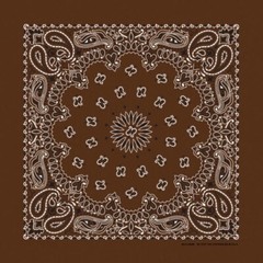 Cocoa Paisley Bandanna USA Made Approx 22×22 inch 100% Cotton Crafts and Fun