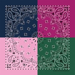 Carolina Creative Quad 4-Color Bandanna (Spring) Paisley 22″ x 22″ Hav-A-Hank