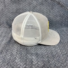 Pistil Mountain Patch Trucker Hat Gray White Mesh Snapback Baseball Cap