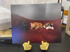 HULK Hands For Cats small Dogs-funny comical Arms Also doubles as Picture stand