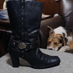 Harley-Davidson Women’s Black Leather Mid-Calf Biker Boots Zip Buckle D85507