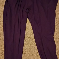Women’s Purple Solid Pants Polyester/Spandex Plus Size Hand Wash Only