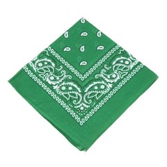 2 X Paisley Print Bandana 100% Cotton Head Warp Scarf Face Mask – USA Seller