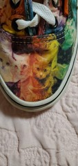 Vans x ASPCA Rainbow Kitty Cat Tennis Shoes W 7.5 M 6