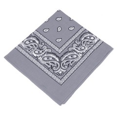 2 X Paisley Print Bandana 100% Cotton Head Warp Scarf Face Mask – USA Seller