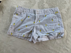 Merona Women’s Chino Shorts Size 4 Light Blue Pineapple Embroidered Cuffed