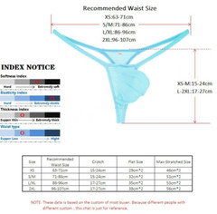 USA SELLER SEXY MENS K403 GRAPE SMUGGLERS MICRO (L/XL 34-38) THONG-BLUE