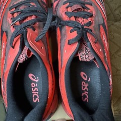 ASICS Men’s Running Shoes NOOSA TRI 15 Electric Red / Diva Pink Japan Size 13