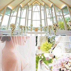 Elegance White Bridal Veil with Comb 30.5 Inches Soft Tulle for Weddings