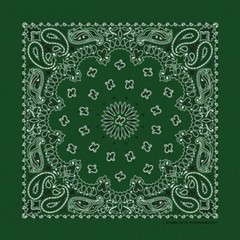 Hunter Green Paisley 22×22 Bandanna, Made in USA, great for crafts customes