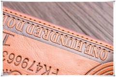 Men’s US 100 Dollar Bill Leather Bifold Card Photo Holder Wallet Handbag Purse