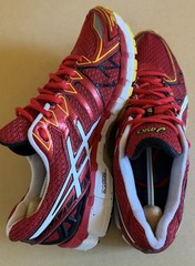 ASICS GEL-Kayano 20 20th Anniversary Red Size US12 Sneakers Shoes T2N2N RARE