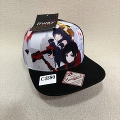 Bioworld RWBY Snapback Flat Brim Black Multicolor One Size Anime Hat