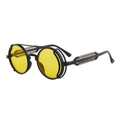 Retro Round Polarized Sunglasses Men Women Vintage Gothic Steampunk Glasses
