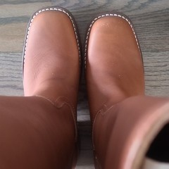 Frye Women’s Campus 14L Leather Boots in Saddle NWB MSRP $498 Sz 6