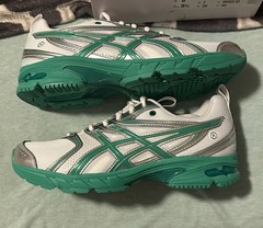 ASICS GEL-DS Trainer 14 Men’s Low Top Lace-Up Sneaker White/Green/Silver