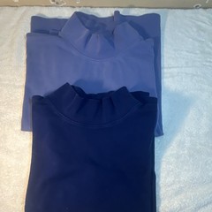 2 L.L.Bean Women’s Blue Long Sleeve T-Shirt XL Regular Solid Mock Neck