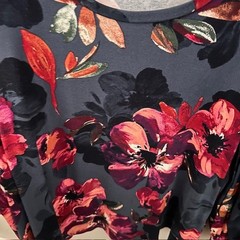 Cupio Blush Balloon Sleeve Floral Blouse Top Size 2X