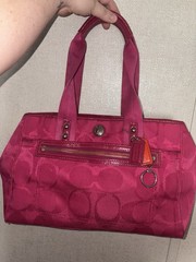 AUTHENTIC Coach Daisy Signature C (mini) Tote Handbag