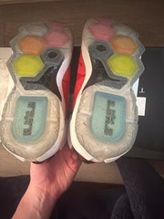 Size 11 – Nike LeBron 12 Heart Of A Lion