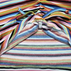 Rue21 Crop Top Womens L Multicolor Striped Short Sleeve V-Neck Ruched Tie New