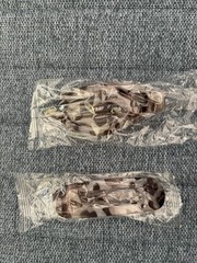 Flat Hair Claw Clips Animal Print Clear & Brown 2 Pieces 4.7 Inch