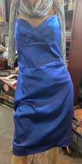 Tess Women’s Blue Semi Formal Dress Size 10